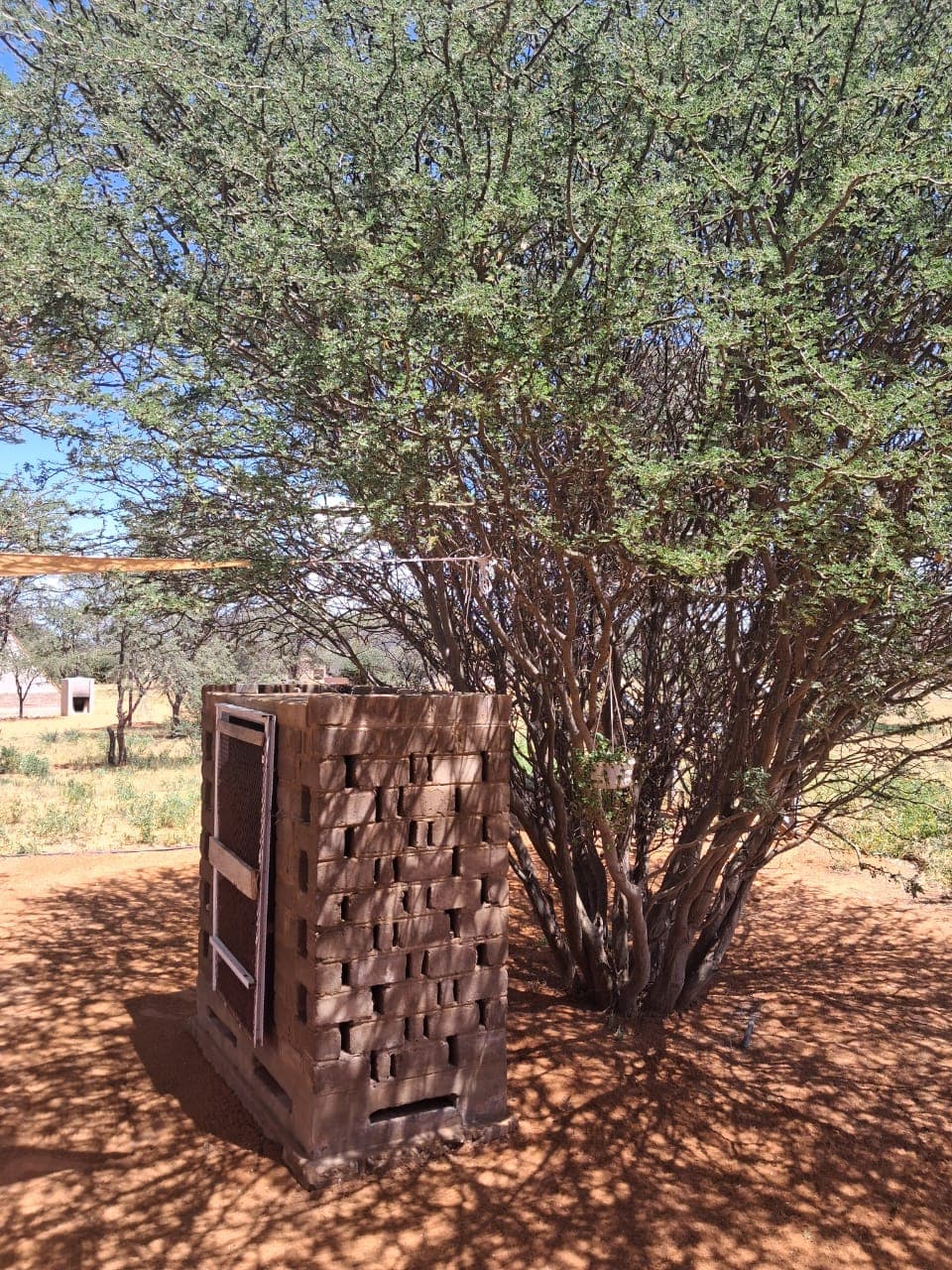 Small brick structure with gaps under a large tree on sandy ground in bright sunlight.