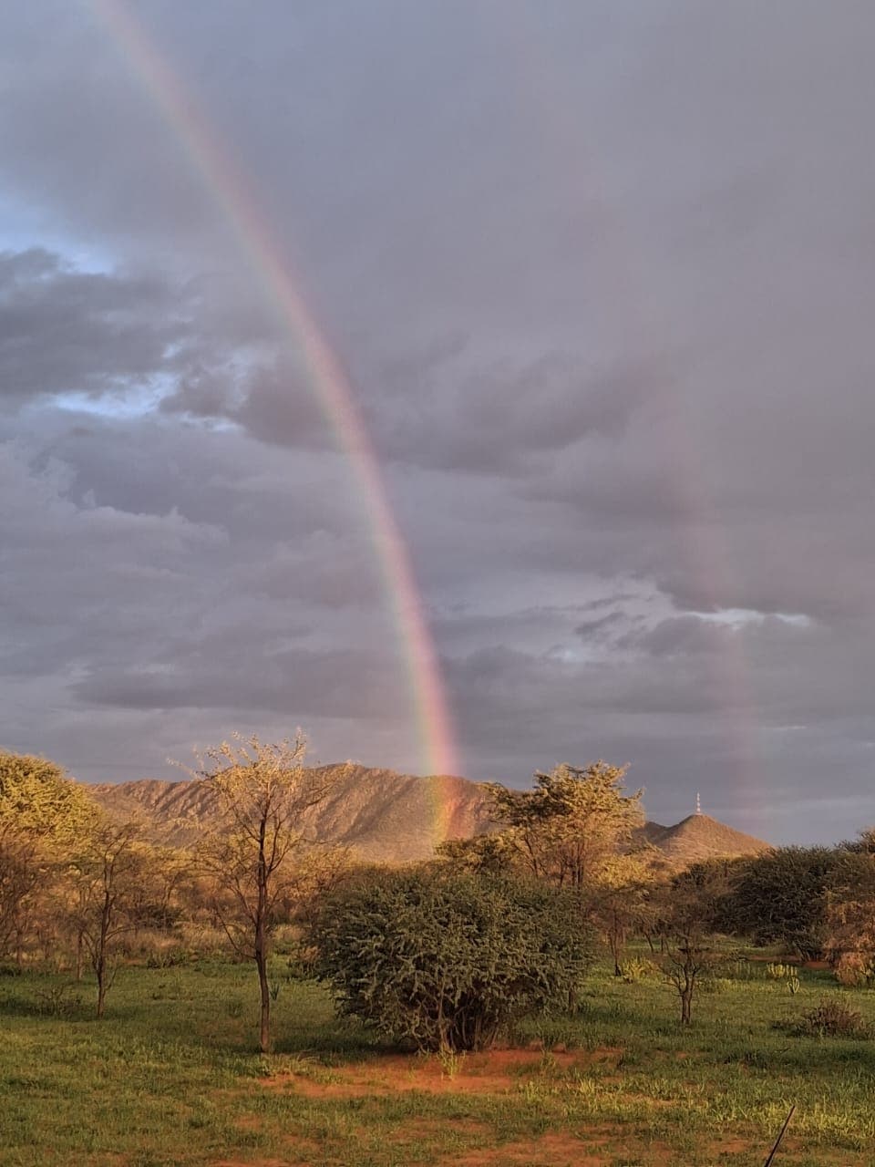 Double rainbow over a golden savanna landscape with mountains and a dark, moody sky.